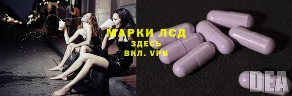 прущие грибы Алзамай