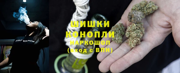 прущие грибы Алзамай