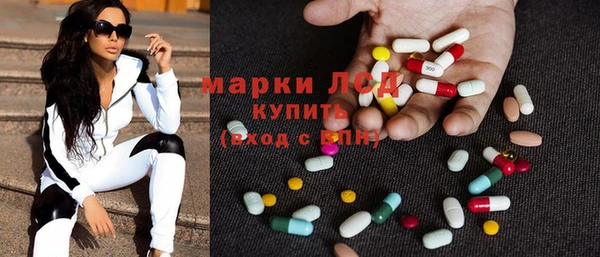 прущие грибы Алзамай