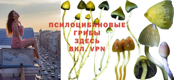 MDMA Алексеевка