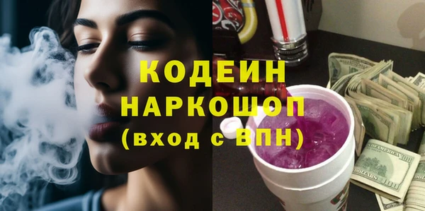 прущие грибы Алзамай